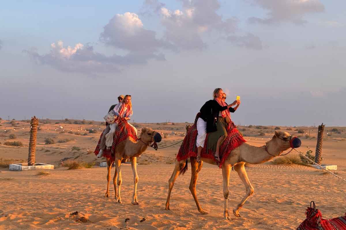 ontime luxury tours