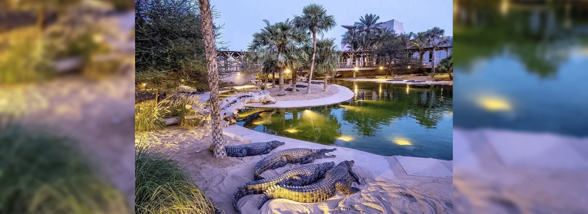 Dubai Crocodile Park