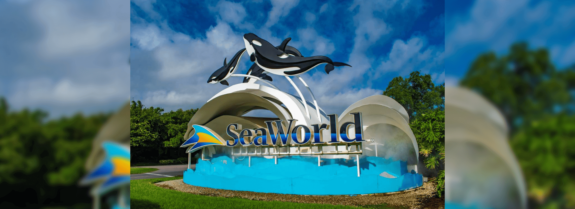 Seaworld From Dubai